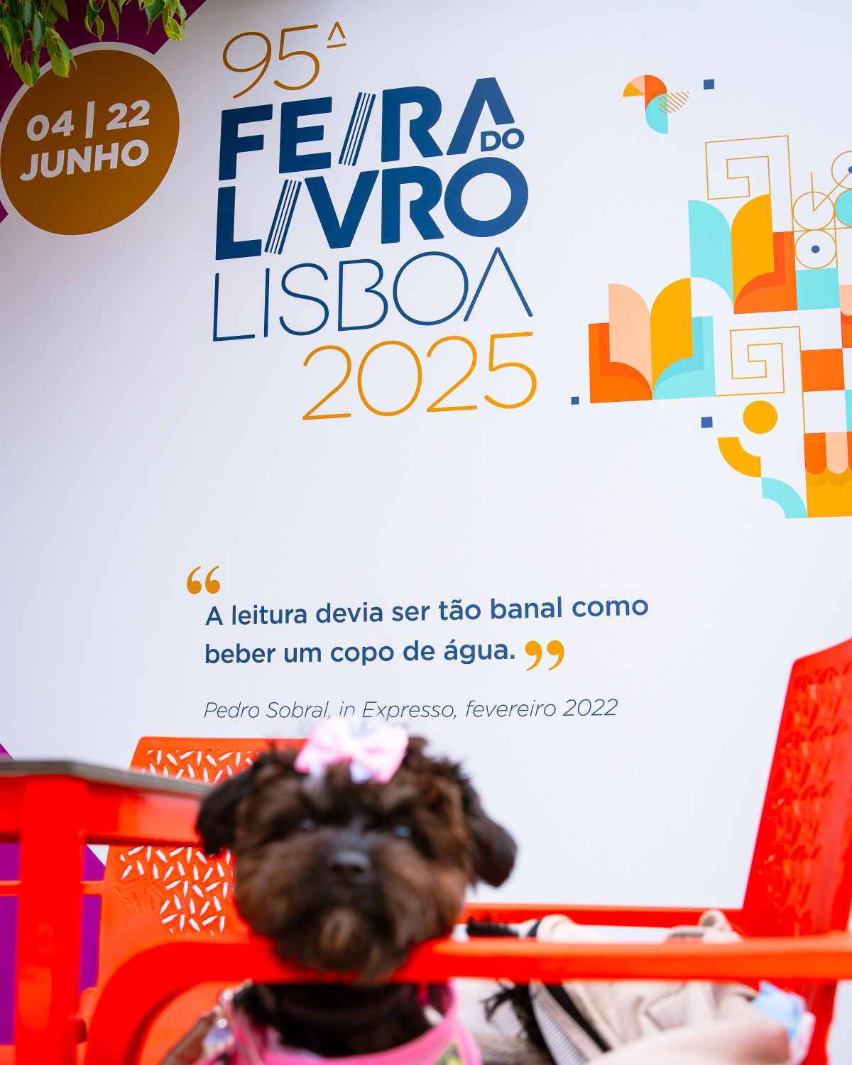 FLL2023